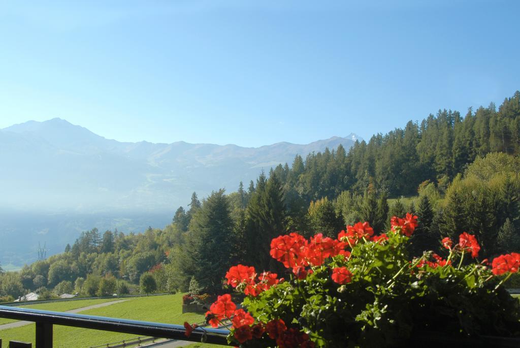 Agriturismo Plan D'Avie Aosta Rom bilde